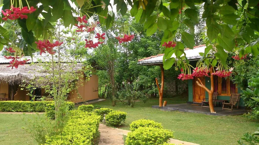 Hotel Liyon Rest Sigiriya 0*,