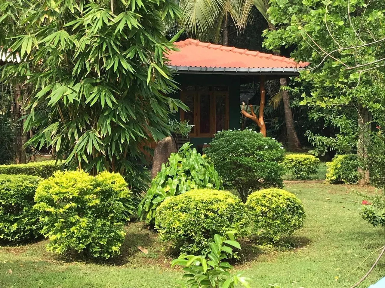 Penzion Hotel Liyon Rest Sigiriya